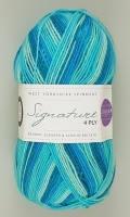 WYS - Signature 4 Ply - Winwick Mum Collection - 873 Seascape